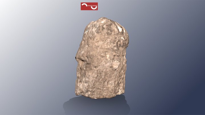 Testa, frammento di statua di guerriero 3D Model