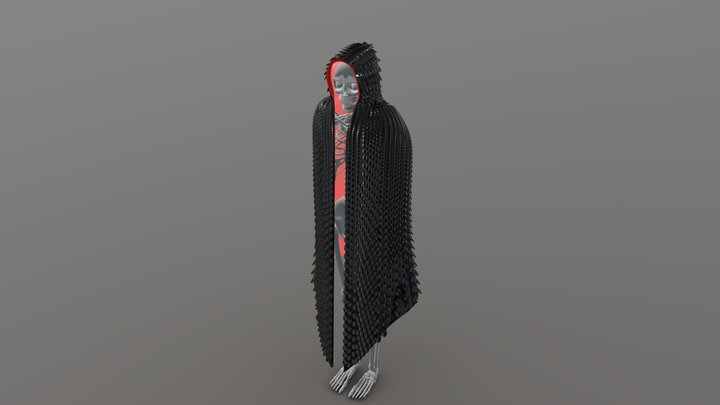 armor raincoat 3D Model