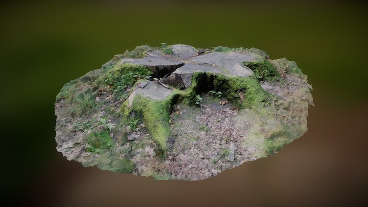 Stump and grass – Free 3D Model STL