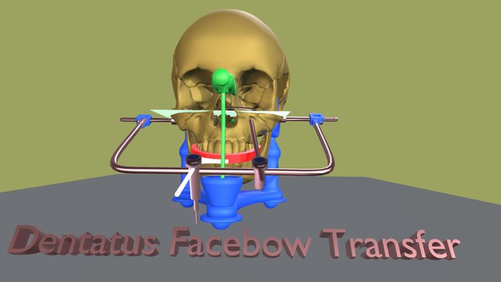 ArticulatorSkull 3D Model