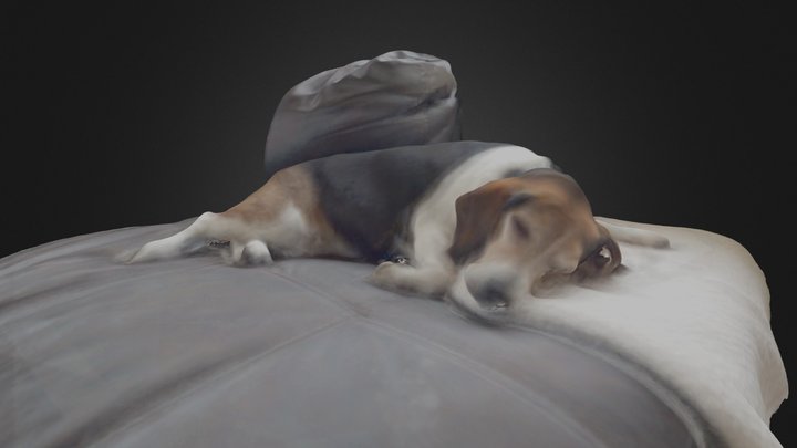 The @BoulderBeagle Rests 3D Model