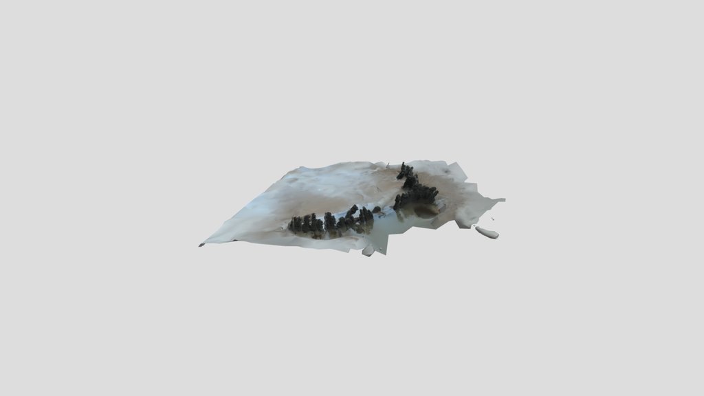 Wreck of the Athena 19 February 2022
