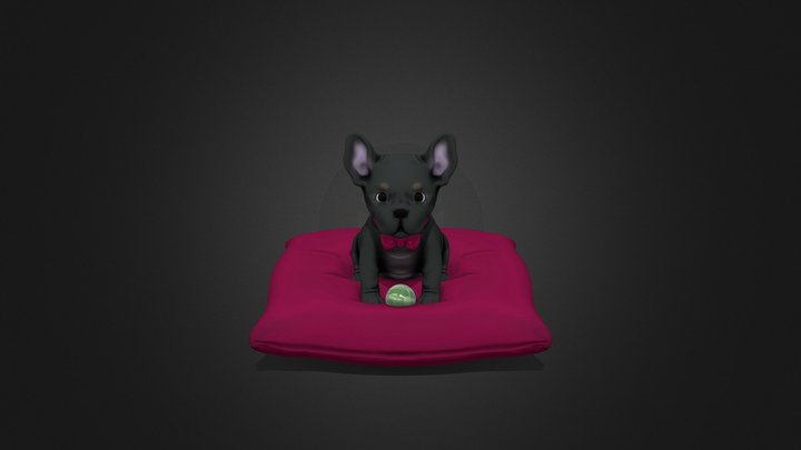 Little French bulldog Puppy <3 3D Model