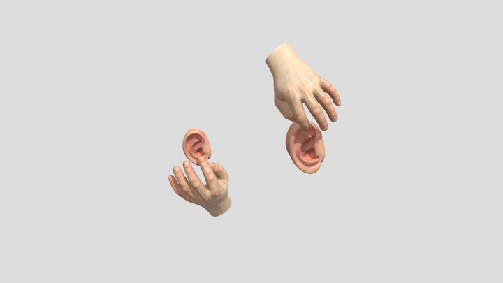 Movimiento de orejas 3D Model