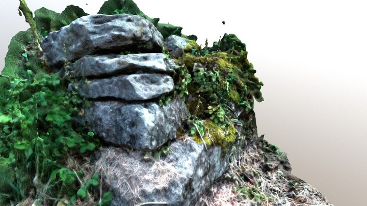 Pinhoat Garden 3D Model