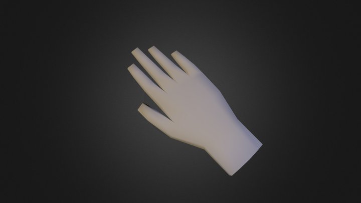 practice hand 3D Model