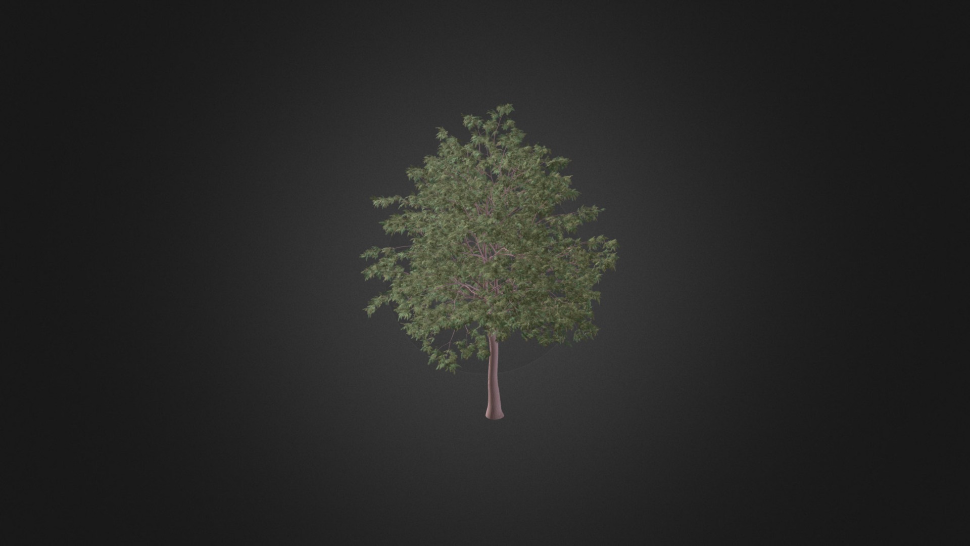 3D model Pedunculate Oak (Quercus Robur) 9.4m - This is a 3D model of the Pedunculate Oak (Quercus Robur) 9.4m. The 3D model is about a tree with a dark background.