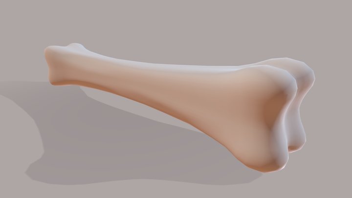 Bone – Modelo 3D gratuito STL