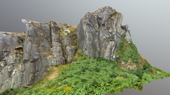 Affleurement de Schiste dans les Monts-d'Arrée 3D Model