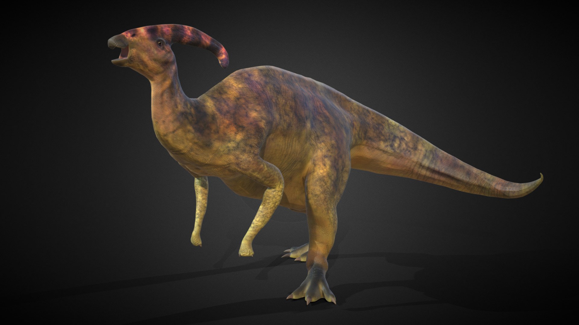 Parasaurolophus - 3D model by Bill Nguyen (@bill_nguyen) [f850d95 ...