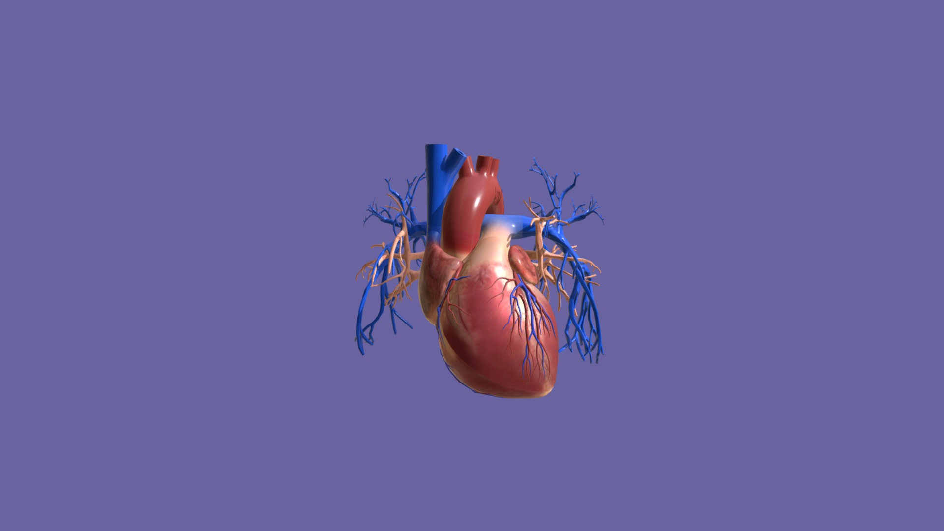 3D model Corazón – Heart - This is a 3D model of the Corazón - Heart. The 3D model is about a blue and red balloon.