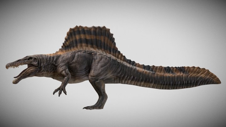Jurassic World Rebirth : Spinosaurus 3D Model V2 3D Model