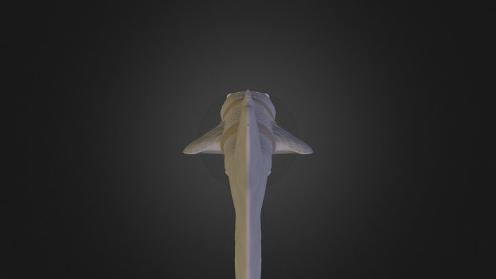 Cat-Ching_model 3D Model