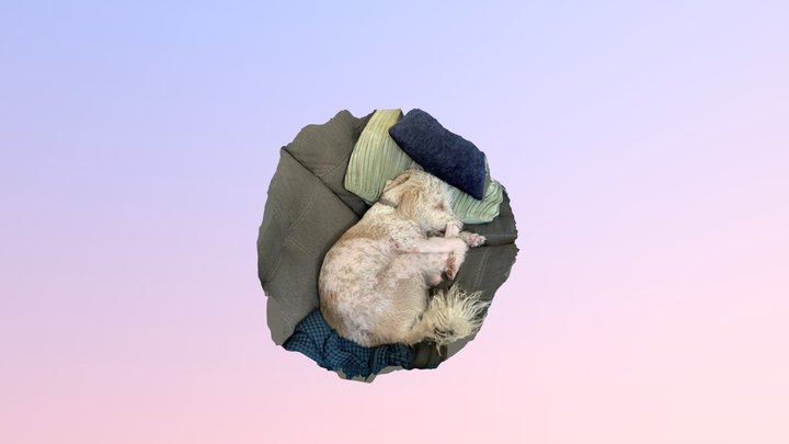 Sleeping Puppy Test 3D Model