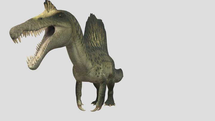Accurate spinosaurus with a rig 3D Model
