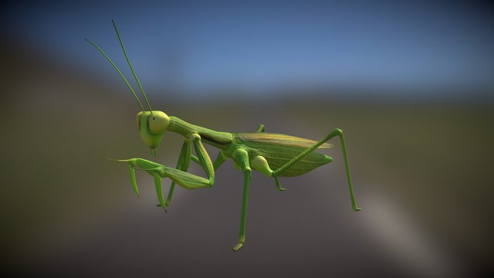 Praying Mantis 3D Model