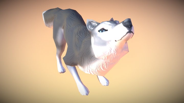 Playful Wolf (Animated) 3D Model