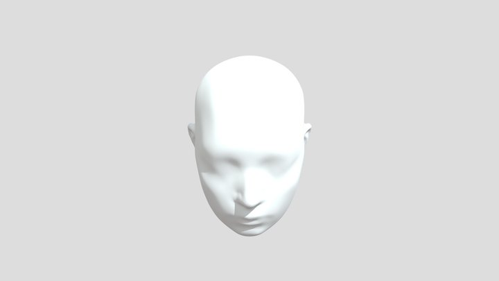 My model 3D Model