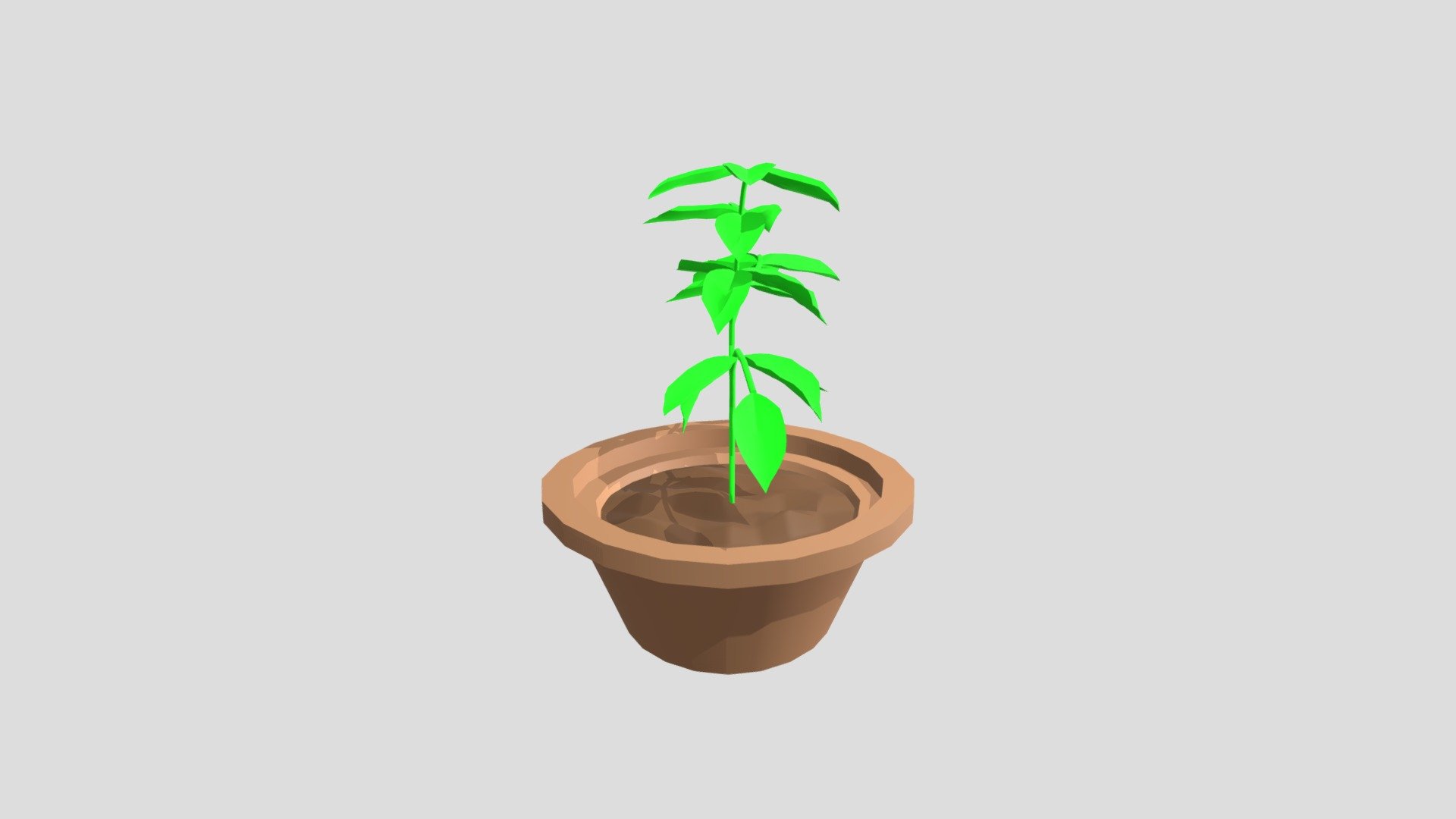 Potted Plant