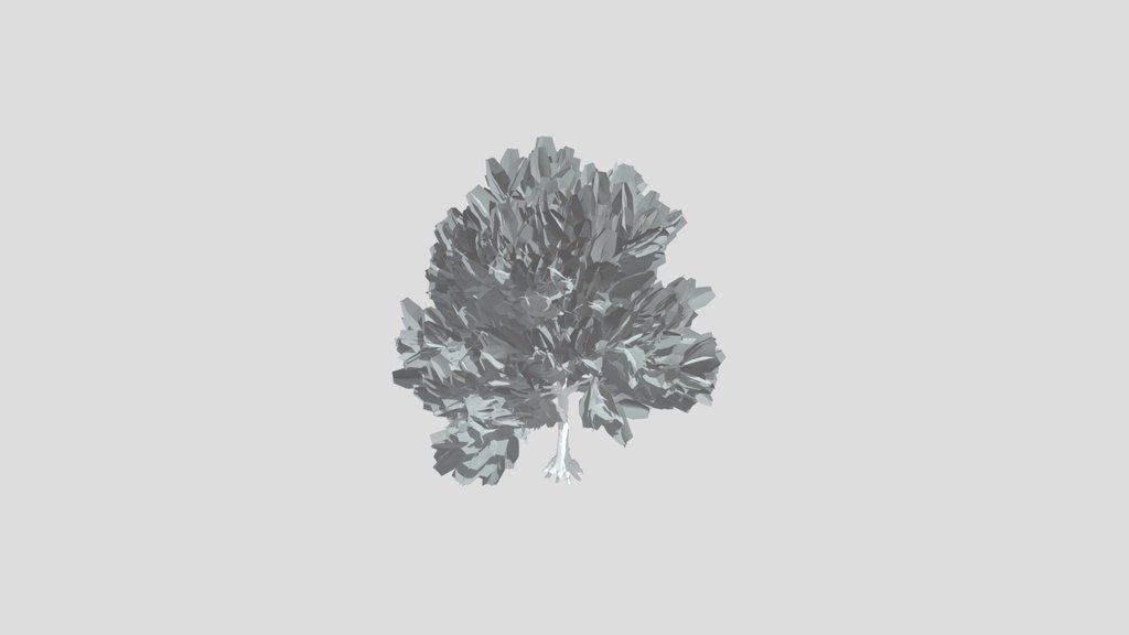 American Beech Tree Variation Low Poly