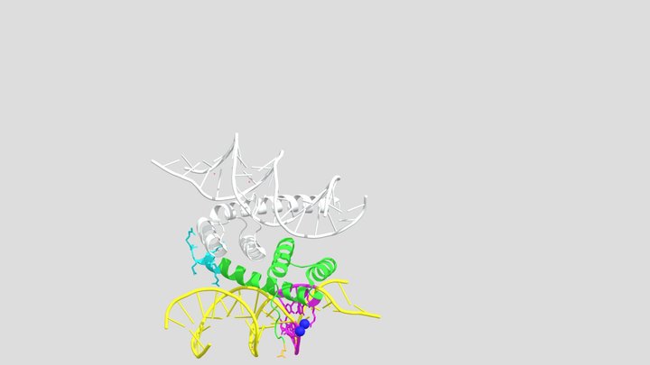 The DNA binding domain of the CDX2 protein 3D Model