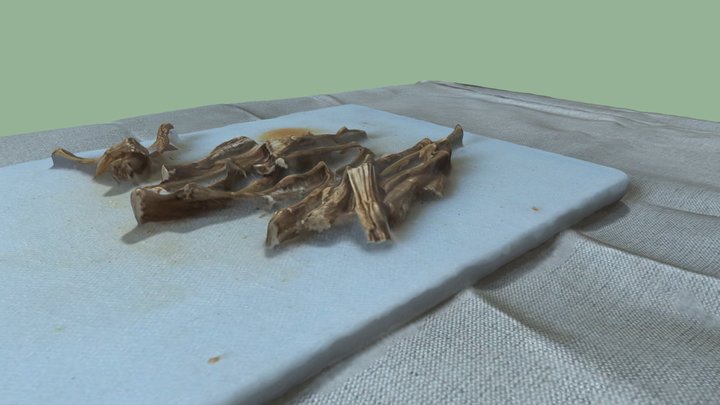 asparagus waste 3D Model
