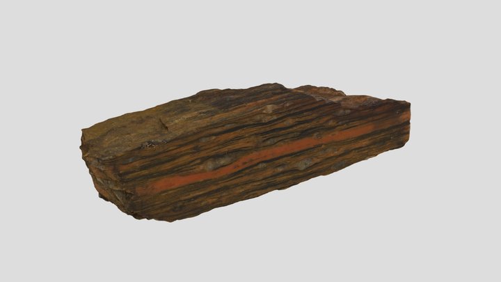 Mylonite with compositional layering 3D Model