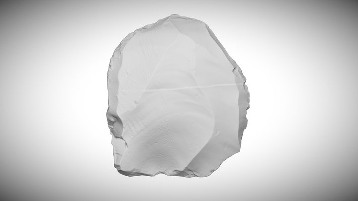 Nor Geghi-1 Levallois Core 3D Model