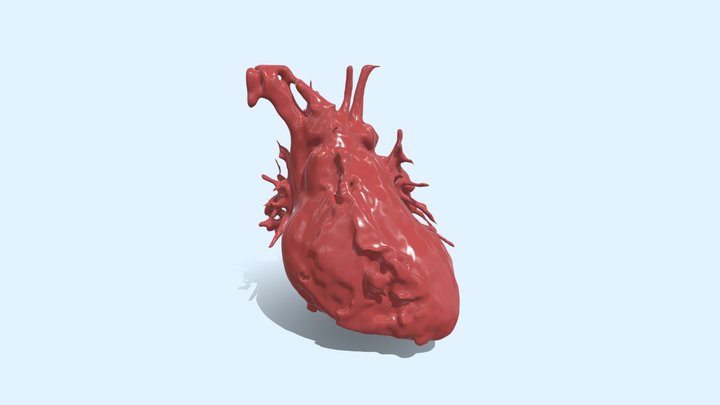 Heart Segmentation 3D Model