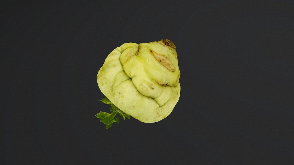 Kohlrabi for #3dscanfruitveg