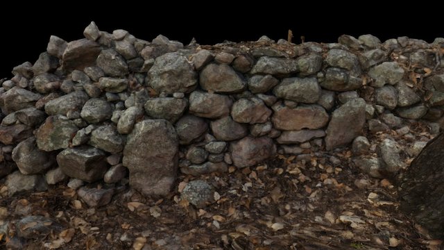 Muro Prehispanico / Prehispanic wall 3D Model
