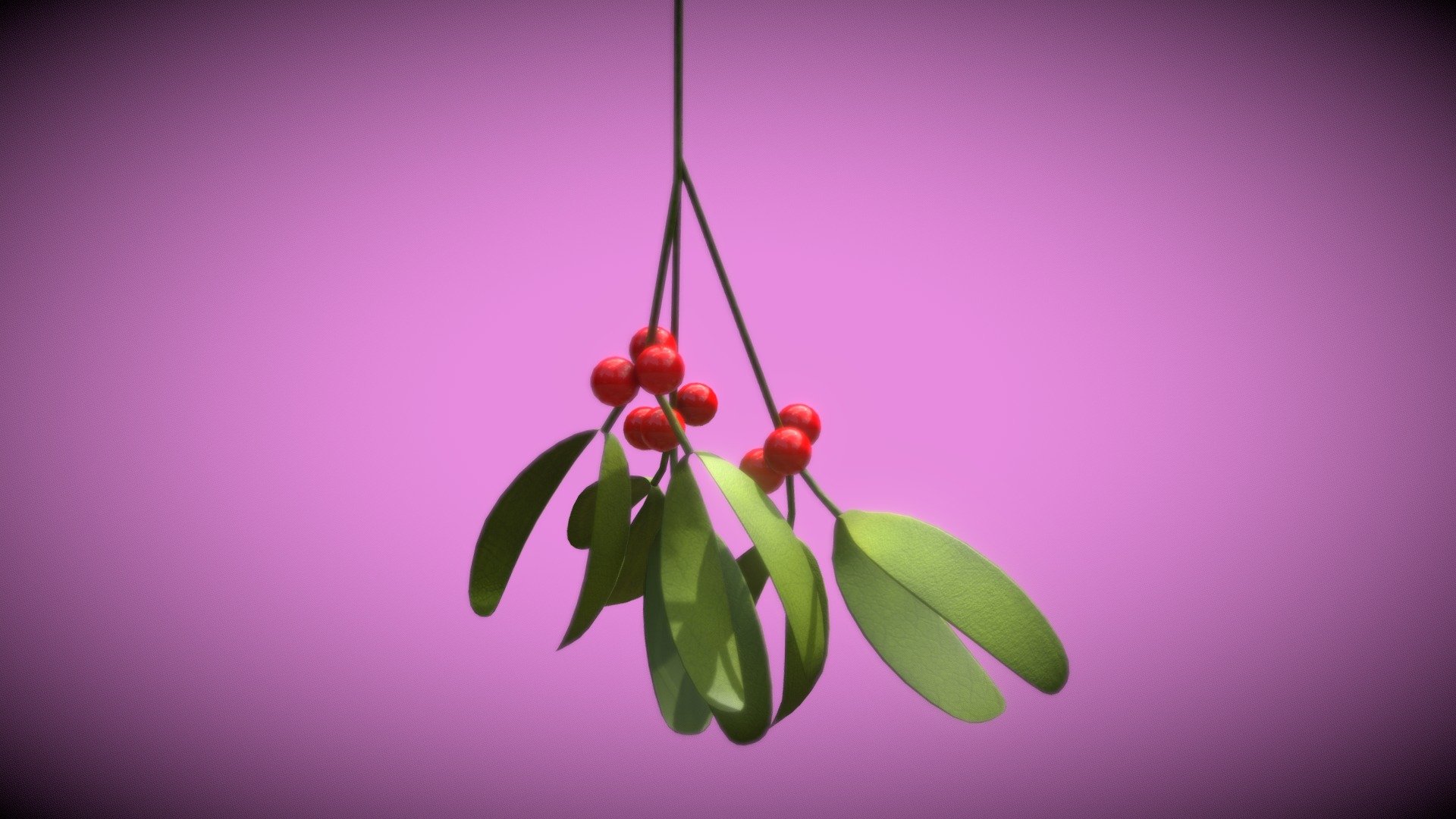 3December2020 - 15 Plant