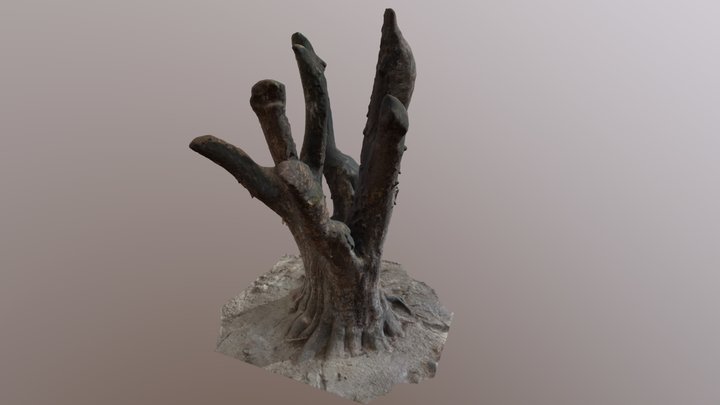 Tree 3D Model