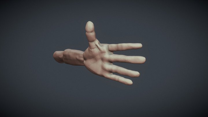 Realistic arm 3D Model