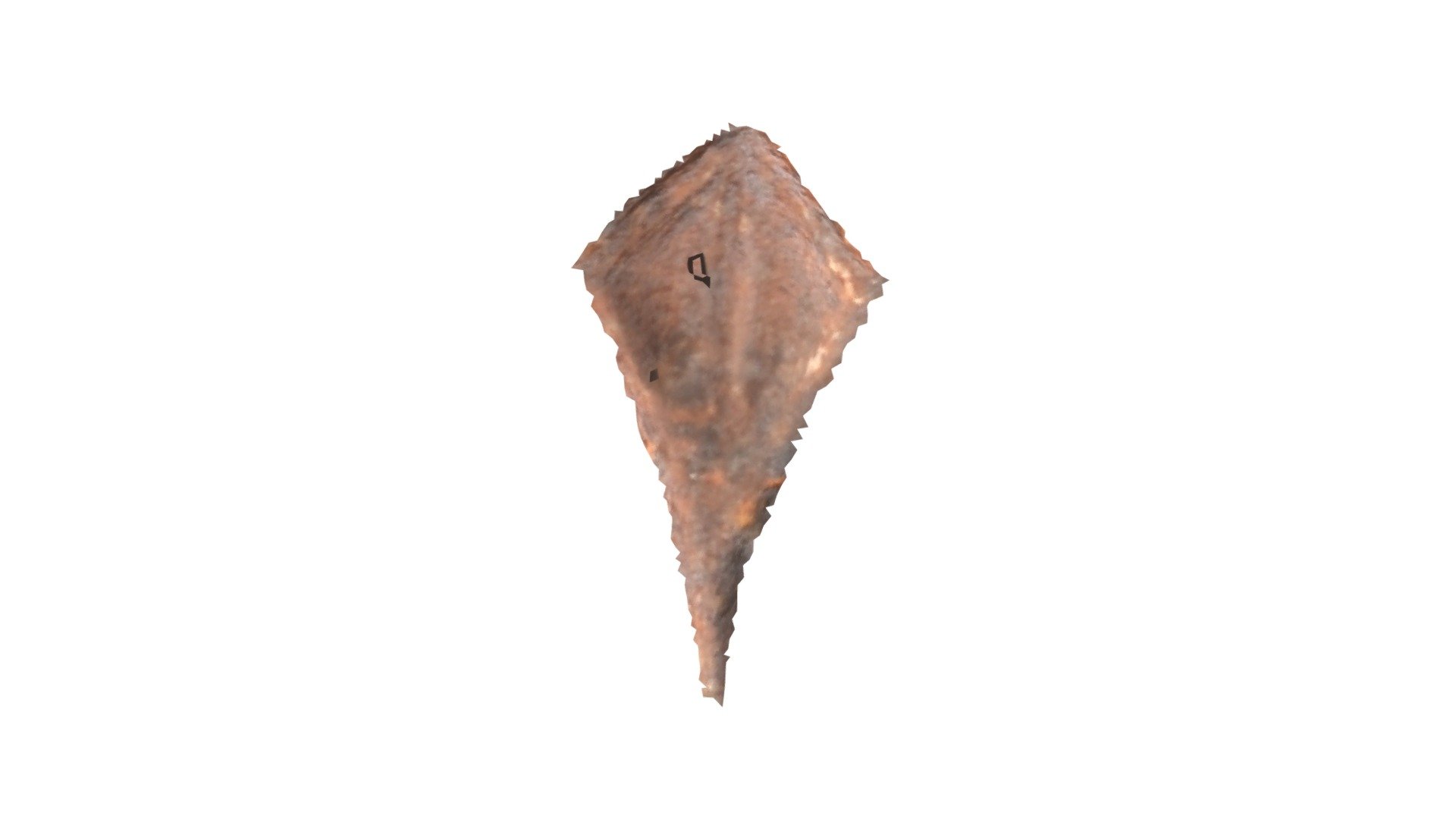 D13 - aurochs MNIR
