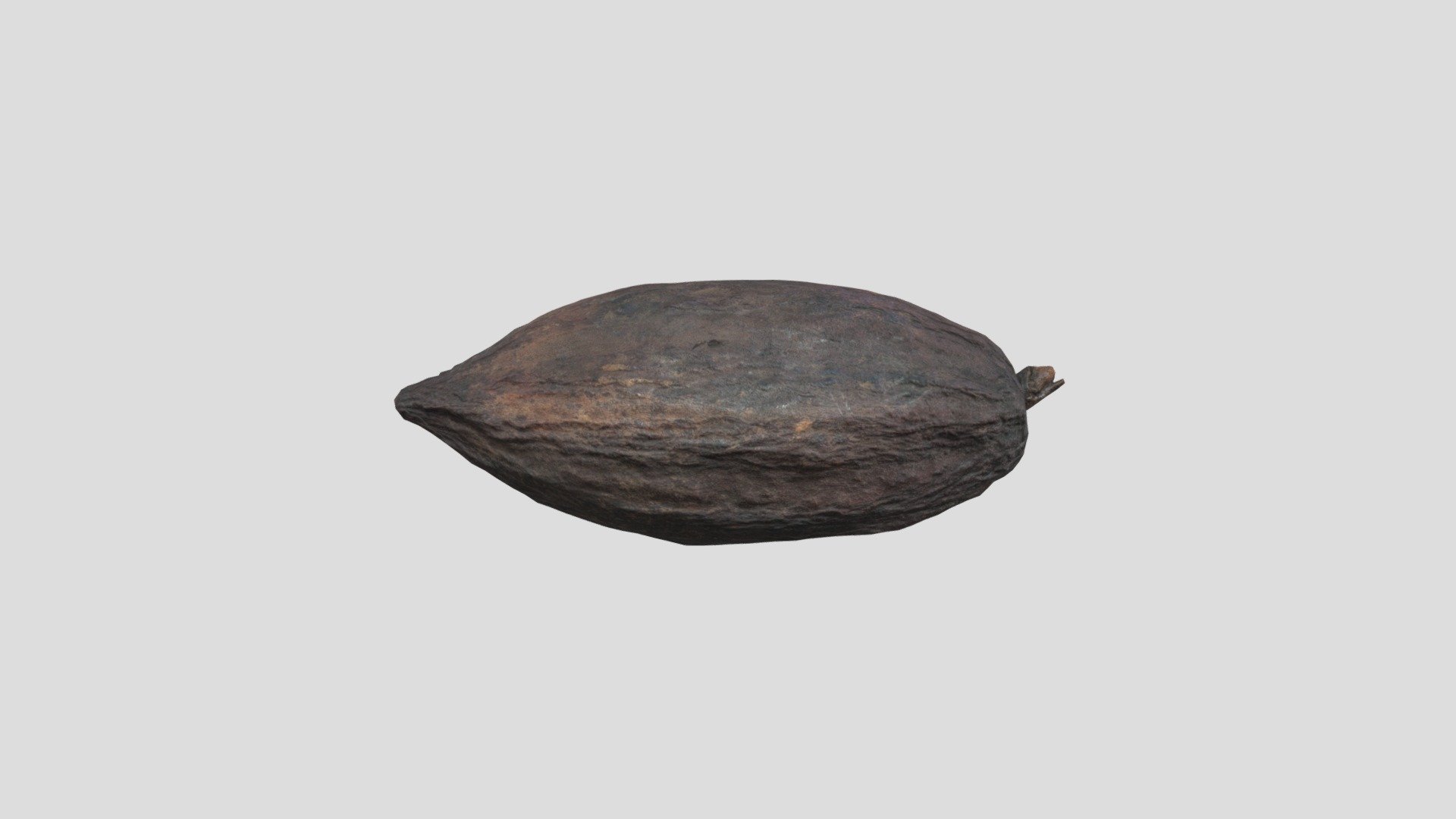 Cacao pod