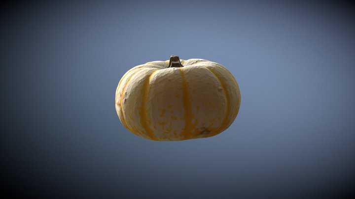 Pumpkin 3D Model