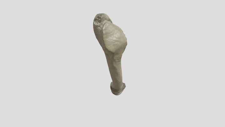 MT5 (2) 3D Model