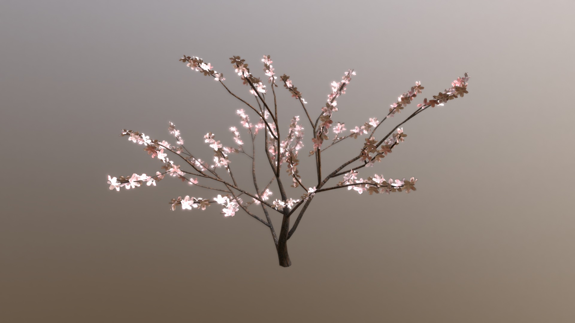 3D model Sakura Tree - This is a 3D model of the Sakura Tree. The 3D model is about a tree with white flowers.