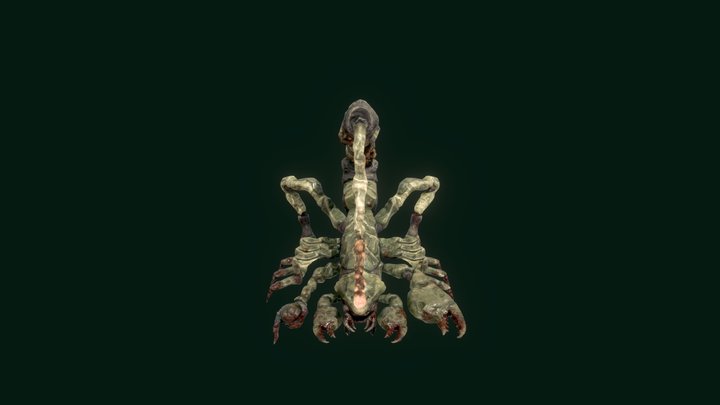 Scorpion | Beneath the Badlands | Nathan Ng 3D Model