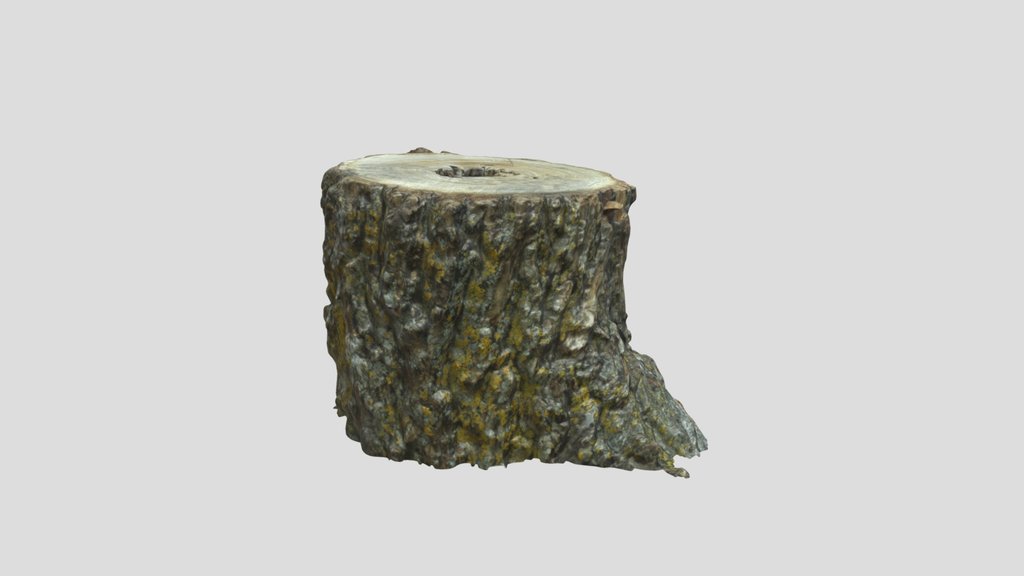 Cut Log 03 Remeshed Photoscan