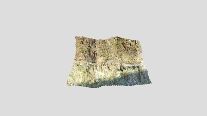 Ringcanarias 3D Model