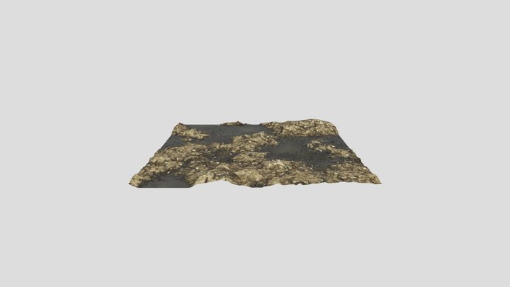 Muddy Ground covered in twigs & puddles FBX,PBR – Modello 3D gratuito STL