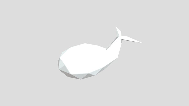 whale 3D Model