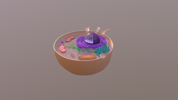 02 Cell Animal 3D Model