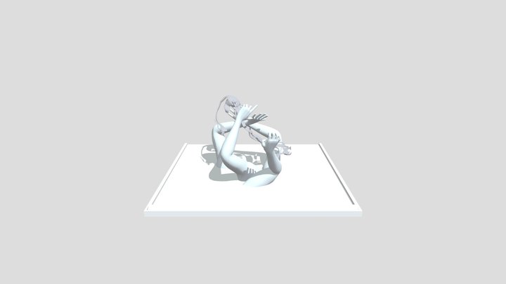 The Arms_Hung Ly 3D Model