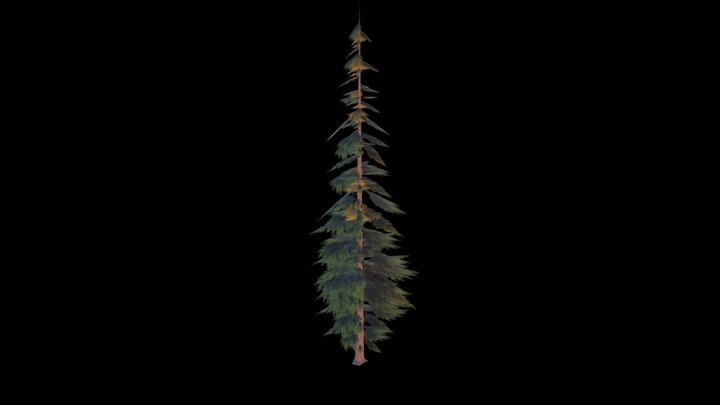 Sequoia 3D Model