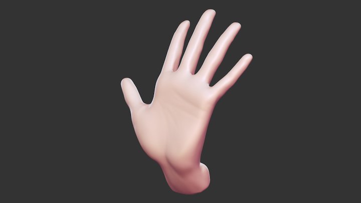 Hand 01 3D Model