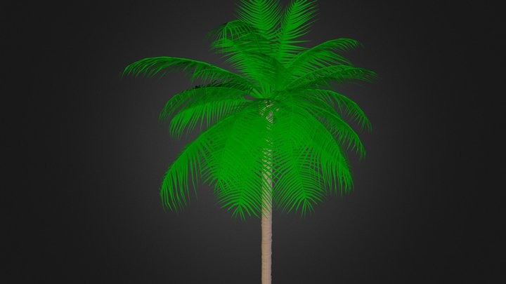 Plam tree test 3D Model