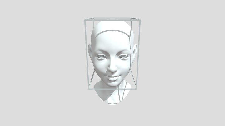 Head_box_edges 3D Model
